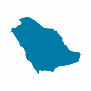 Suudi Arabistan Vizesi